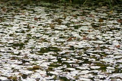 Killikus&reg; Fotographie